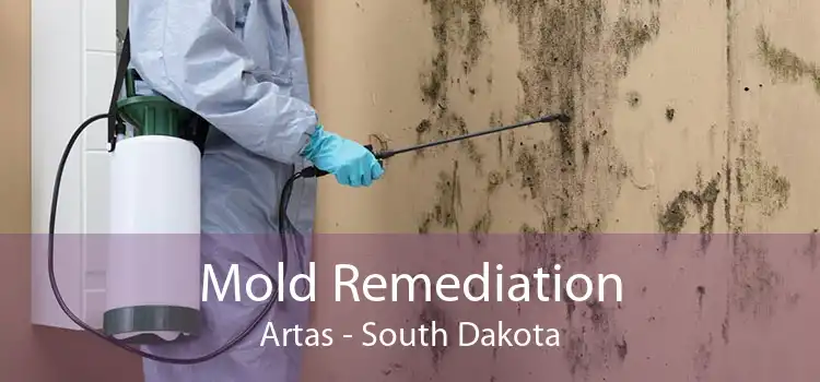 Mold Remediation Artas - South Dakota