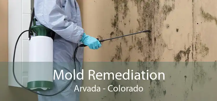 Mold Remediation Arvada - Colorado