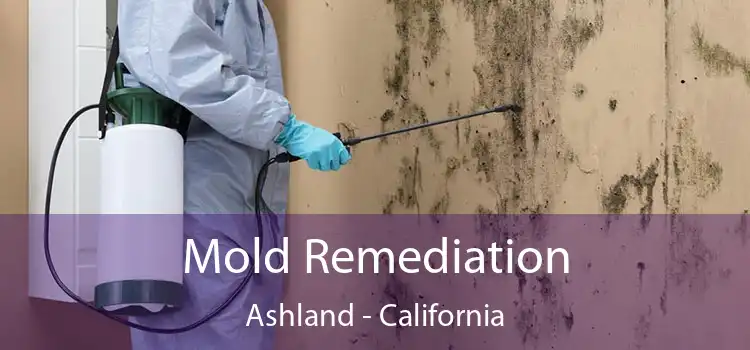 Mold Remediation Ashland - California