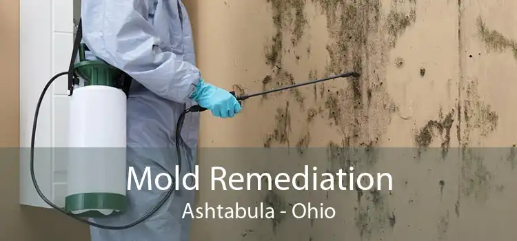 Mold Remediation Ashtabula - Ohio