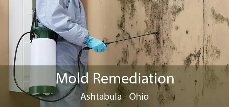 Mold Remediation Ashtabula - Ohio