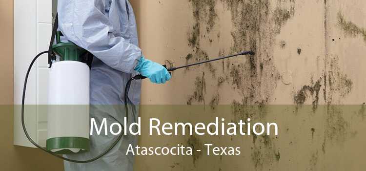 Mold Remediation Atascocita - Texas