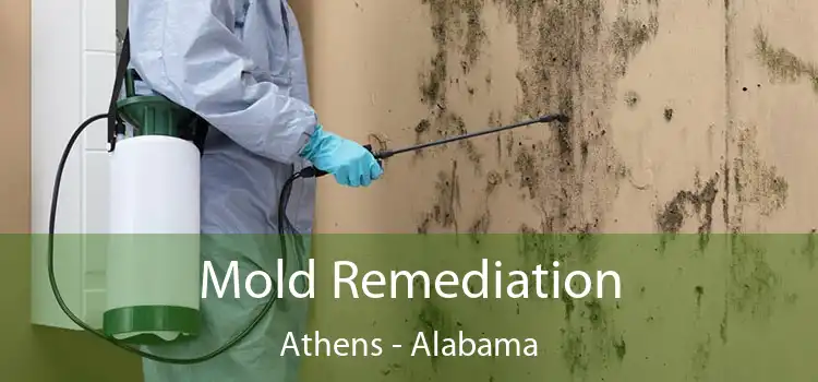 Mold Remediation Athens - Alabama