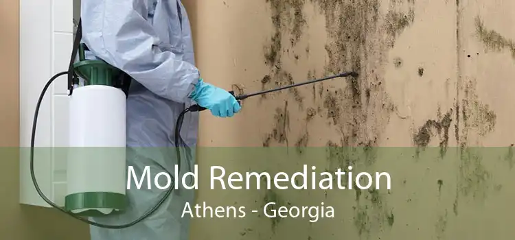 Mold Remediation Athens - Georgia