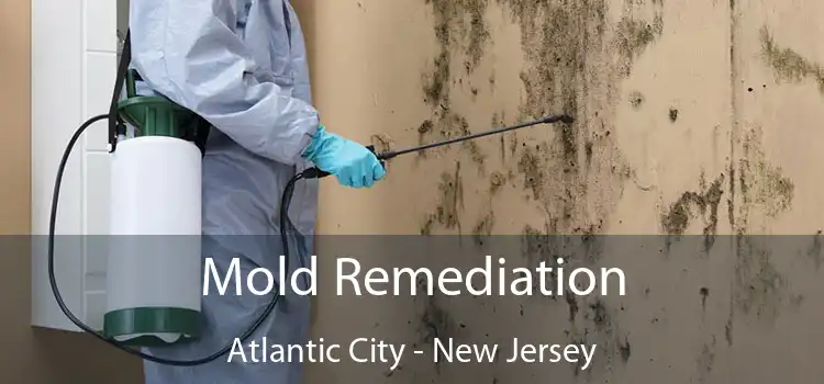 Mold Remediation Atlantic City - New Jersey