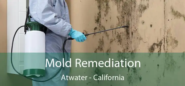 Mold Remediation Atwater - California