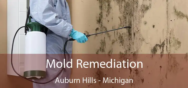 Mold Remediation Auburn Hills - Michigan