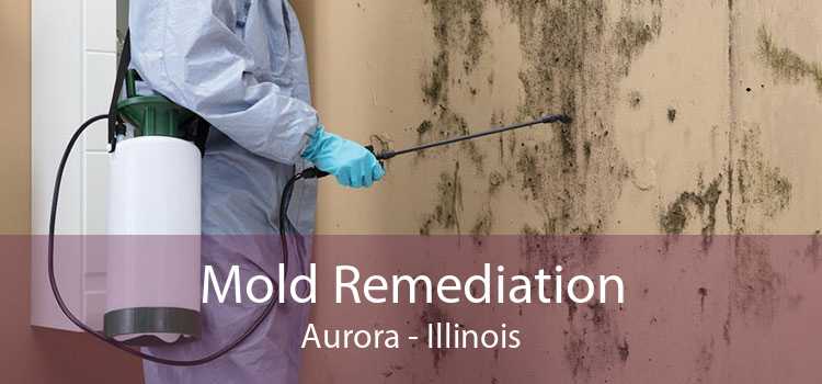 Mold Remediation Aurora - Illinois