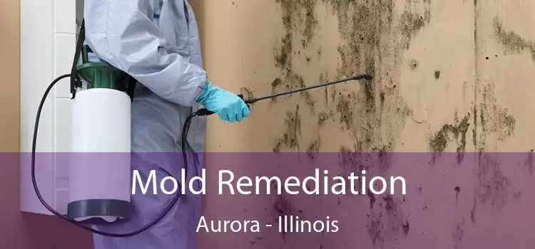 Mold Remediation Aurora - Illinois