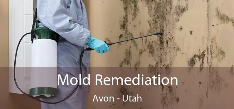 Mold Remediation Avon - Utah