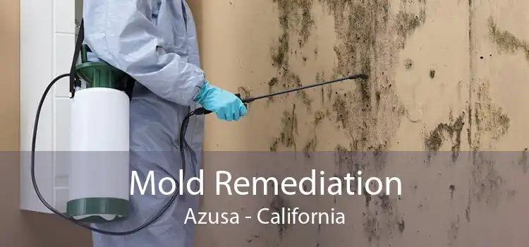 Mold Remediation Azusa - California