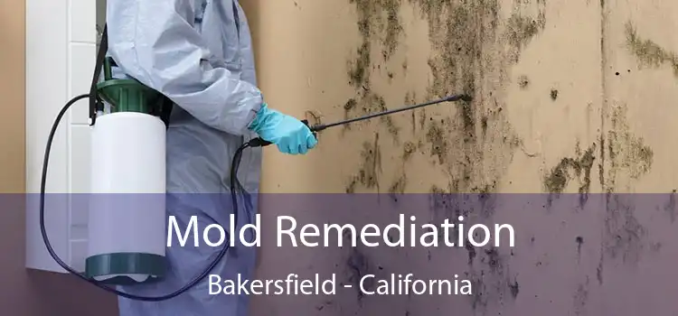 Mold Remediation Bakersfield - California