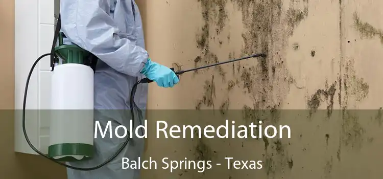 Mold Remediation Balch Springs - Texas