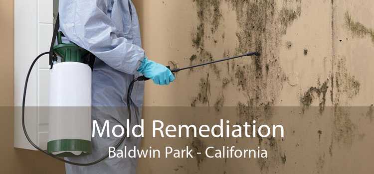 Mold Remediation Baldwin Park - California