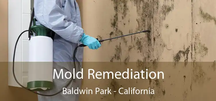 Mold Remediation Baldwin Park - California