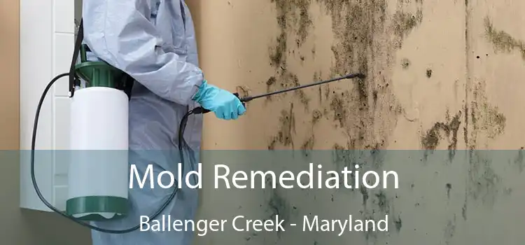 Mold Remediation Ballenger Creek - Maryland