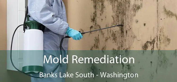 Mold Remediation Banks Lake South - Washington