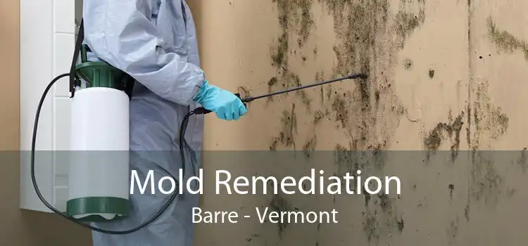 Mold Remediation Barre - Vermont