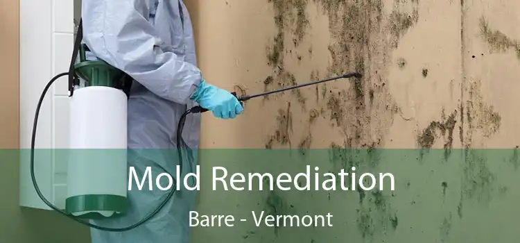 Mold Remediation Barre - Vermont