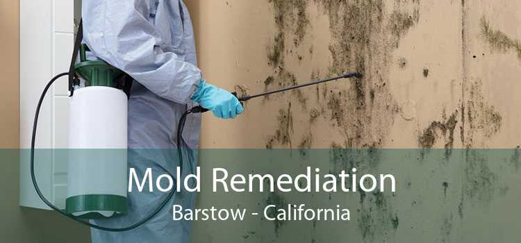 Mold Remediation Barstow - California