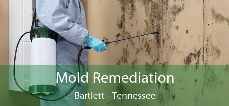 Mold Remediation Bartlett - Tennessee