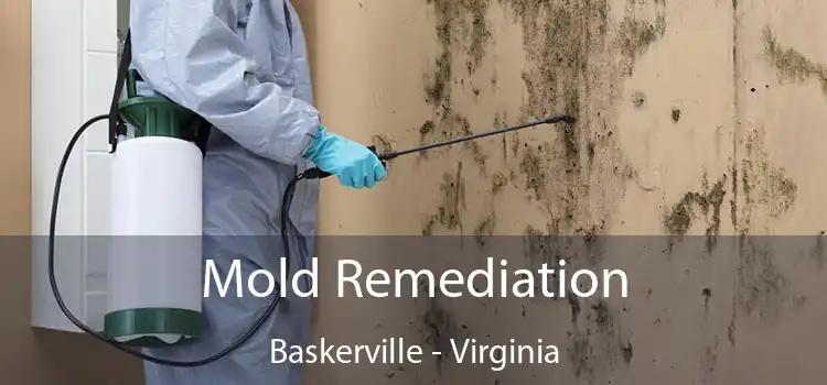 Mold Remediation Baskerville - Virginia