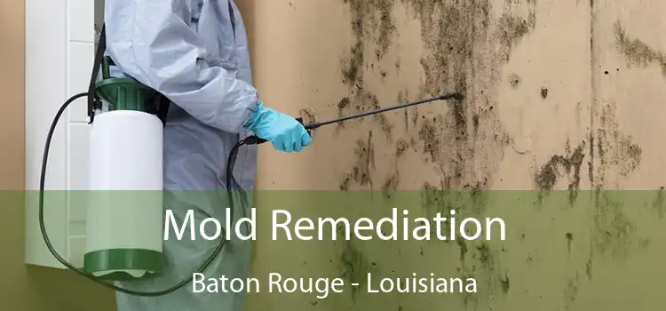 Mold Remediation Baton Rouge - Louisiana