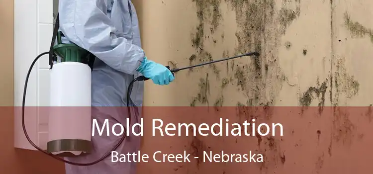 Mold Remediation Battle Creek - Nebraska