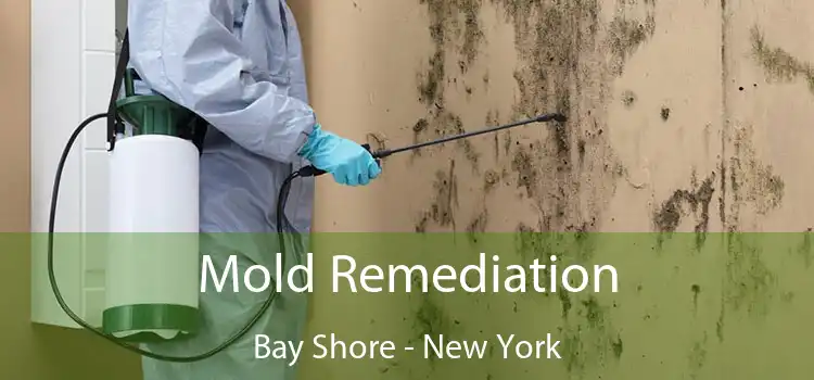 Mold Remediation Bay Shore - New York