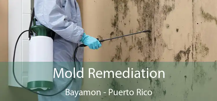 Mold Remediation Bayamon - Puerto Rico