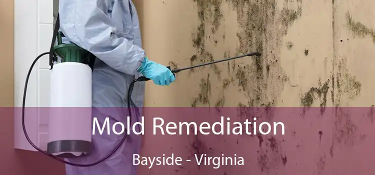 Mold Remediation Bayside - Virginia