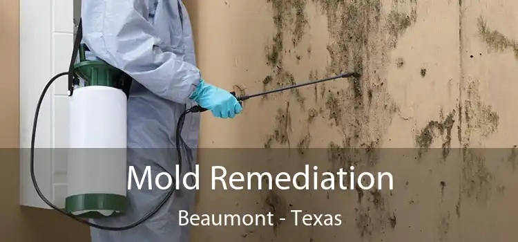 Mold Remediation Beaumont - Texas