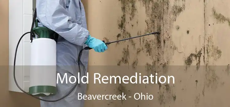 Mold Remediation Beavercreek - Ohio