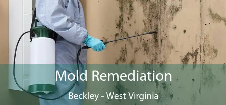 Mold Remediation Beckley - West Virginia