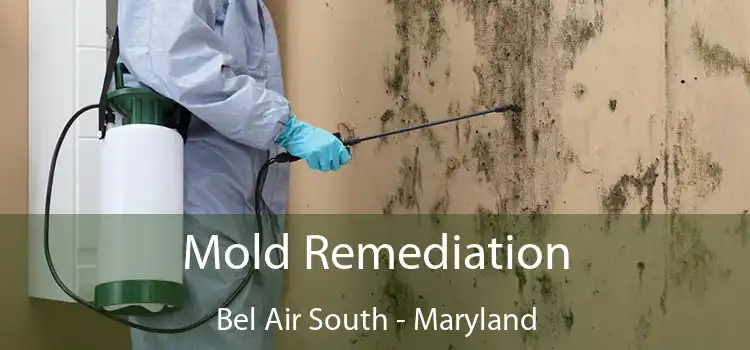 Mold Remediation Bel Air South - Maryland