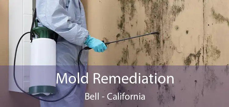 Mold Remediation Bell - California