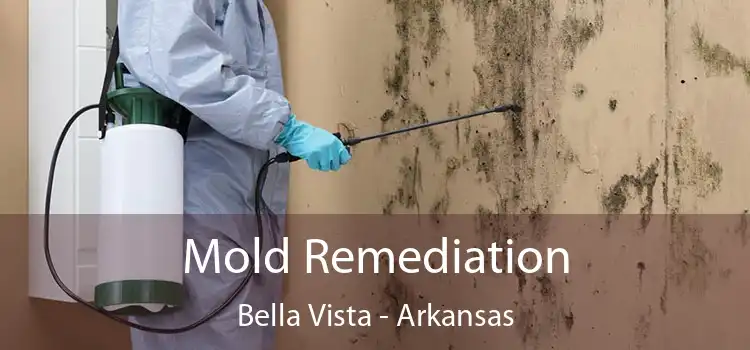 Mold Remediation Bella Vista - Arkansas