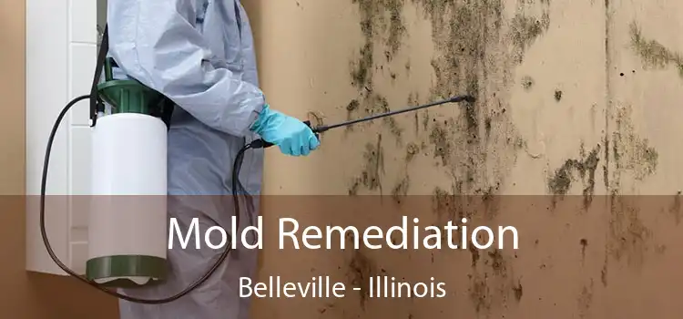 Mold Remediation Belleville - Illinois