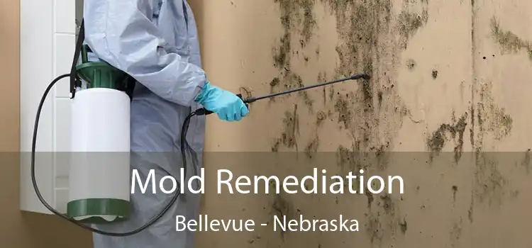 Mold Remediation Bellevue - Nebraska