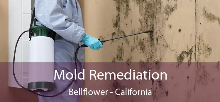 Mold Remediation Bellflower - California