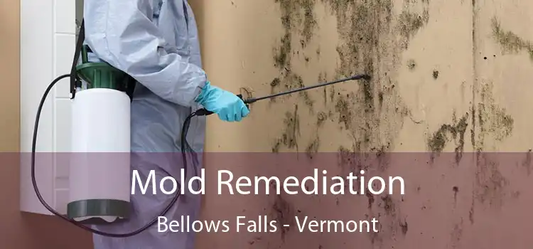 Mold Remediation Bellows Falls - Vermont