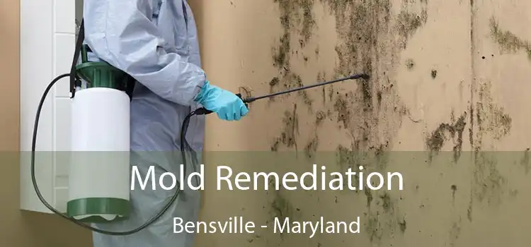 Mold Remediation Bensville - Maryland