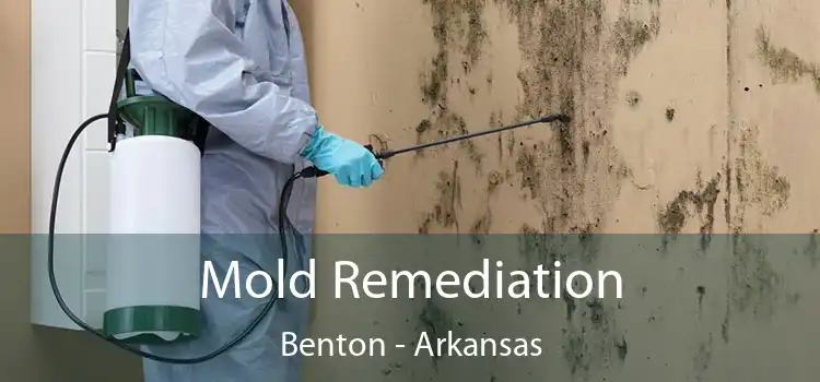 Mold Remediation Benton - Arkansas