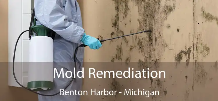 Mold Remediation Benton Harbor - Michigan