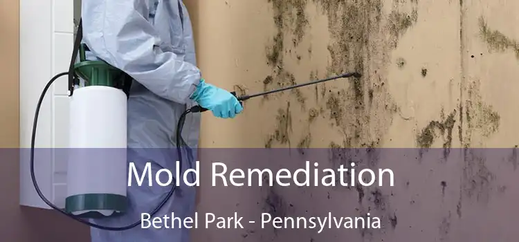 Mold Remediation Bethel Park - Pennsylvania