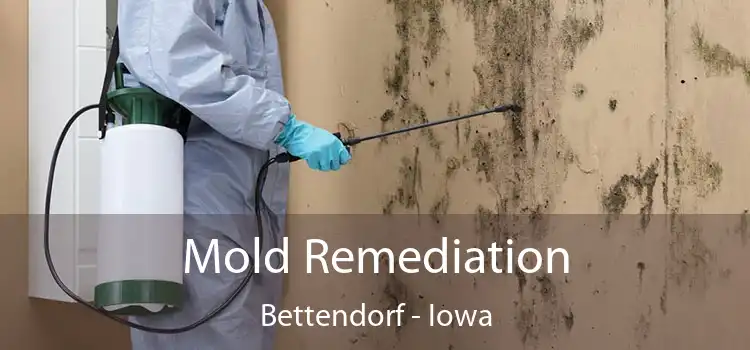 Mold Remediation Bettendorf - Iowa