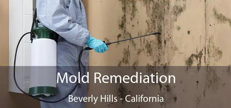 Mold Remediation Beverly Hills - California