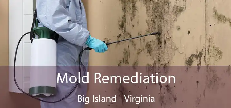 Mold Remediation Big Island - Virginia