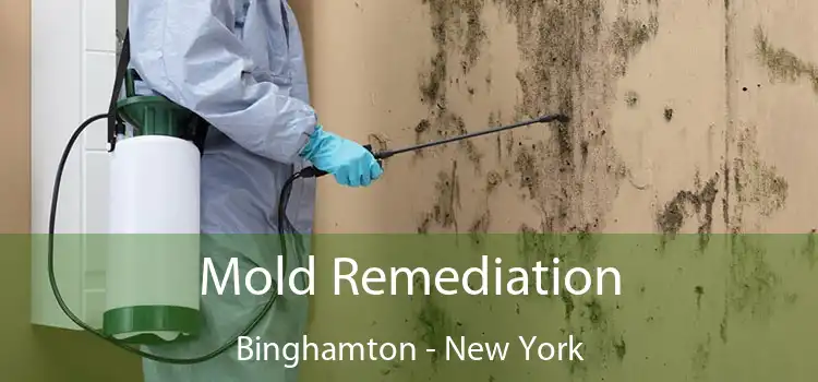Mold Remediation Binghamton - New York