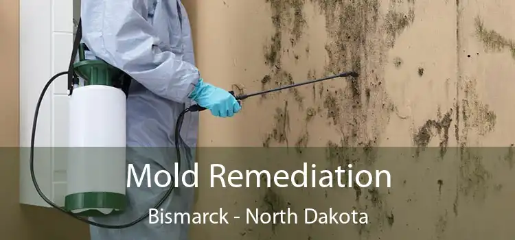 Mold Remediation Bismarck - North Dakota